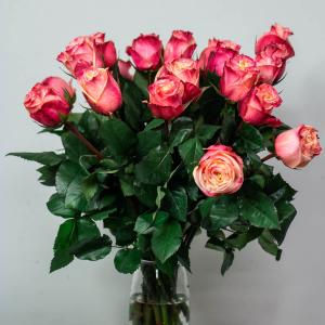 15 бежево-красных роз Эквадор
