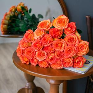 25 оранжевых роз Эквадор