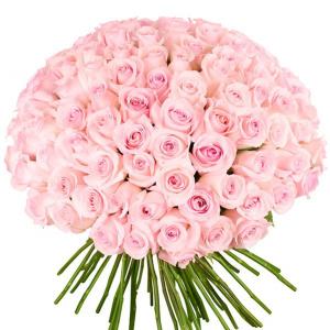 101 нежно розовая роза Эквадор