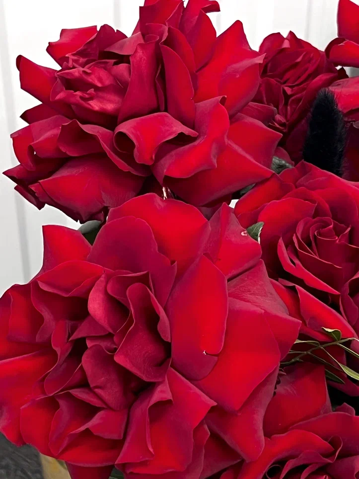 Композиция «Притяжение»