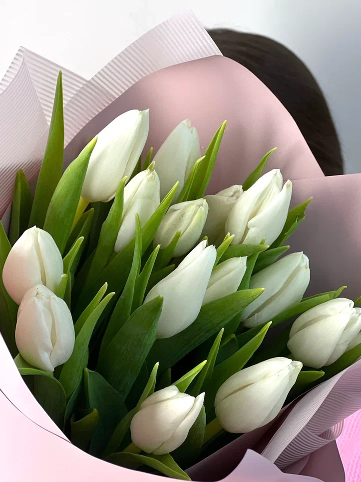 15 белых тюльпанов