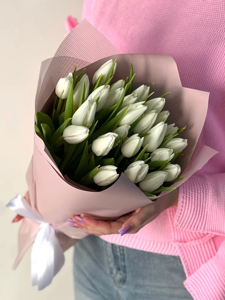 25 белых тюльпанов