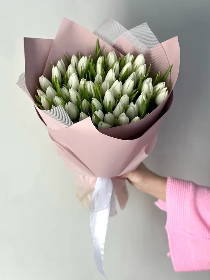 51 белый тюльпан