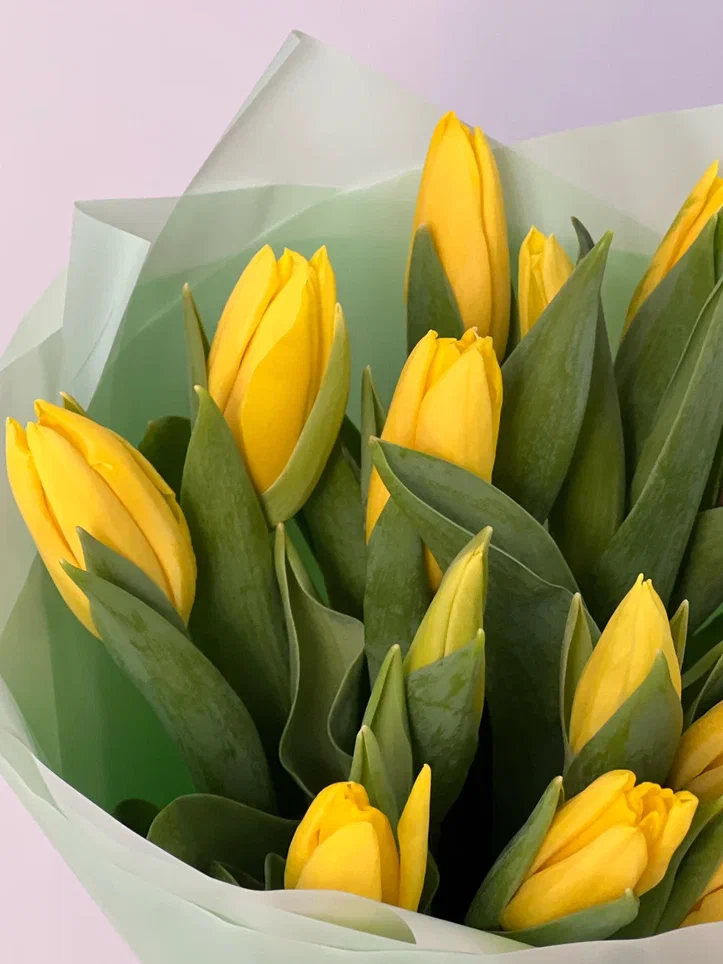 15 желтых тюльпанов