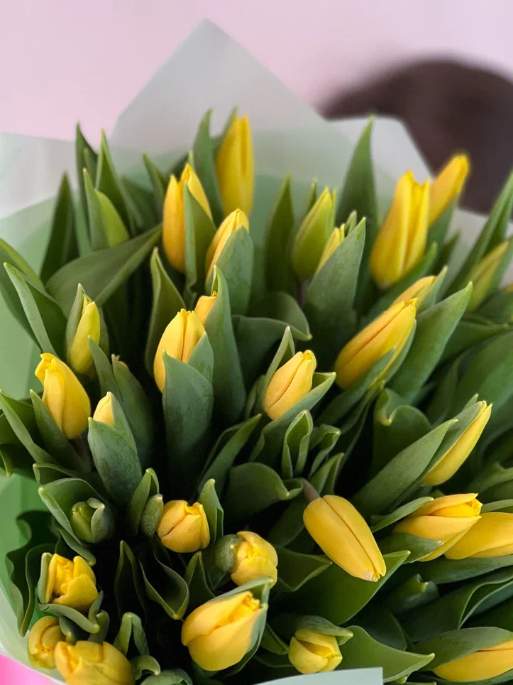 51 желтый тюльпан