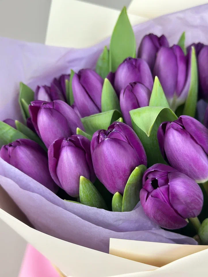 25 сиреневых тюльпанов