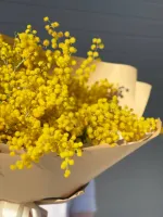 Цветы Ароматный букет мимозы 3