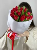 Цветы 15 красных пионовидных тюльпанов 0