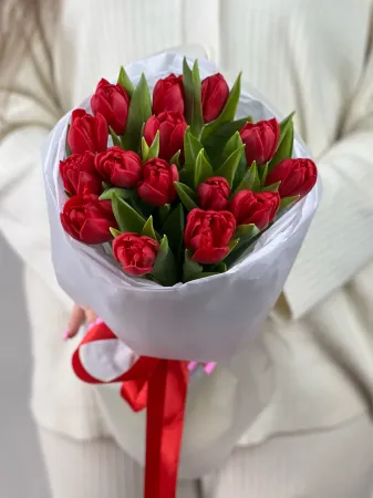 15 красных пионовидных тюльпанов