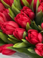 Цветы 15 красных пионовидных тюльпанов 4