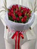 Цветы 25 красных пионовидных тюльпанов 1