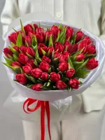 Цветы 51 красный пионовидный тюльпан 1