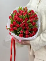 Цветы 51 красный пионовидный тюльпан 2