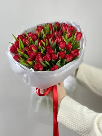 51 красный пионовидный тюльпан