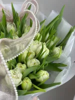 Цветы 51 белый пионовидный тюльпан 3