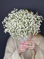 Цветы Свадебный букет из гипсофилы 0