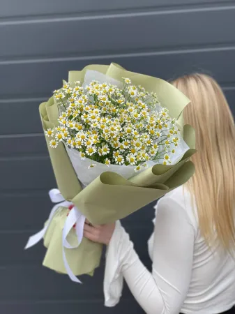 Букет из матрикарий ромашек