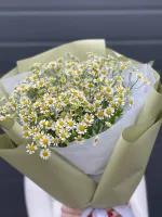 Цветы Букет из матрикарий ромашек 4