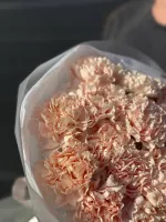 Цветы Круглый букет из диантусов 4