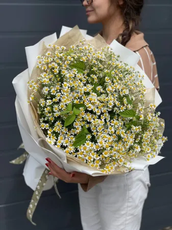 Ромашки ко Дню семьи