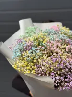 Цветы Букет Гипсофил 1