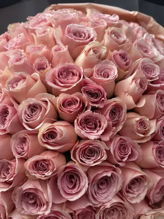 Невероятные кенийские розы