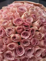 Цветы Невероятные кенийские розы 4