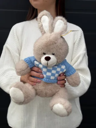 Плюшевая игрушка №1