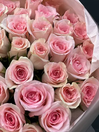 51 очаровательная Кения