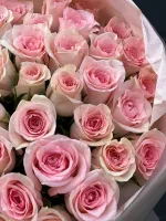 Цветы 51 очаровательная Кения 4