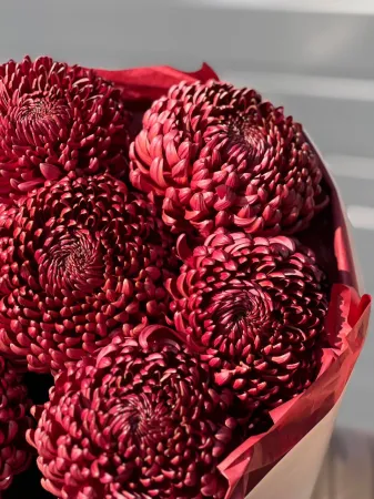 Букет «Красные Bigoudi»