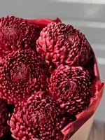 Цветы Букет «Красные Bigoudi» 4