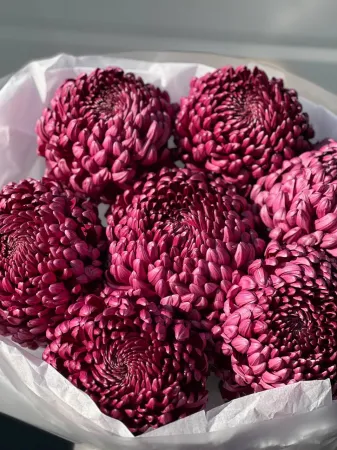 Букет «Фиолетовые Bigoudi»