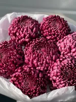 Цветы Букет «Фиолетовые Bigoudi» 4