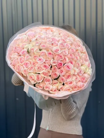 101 очаровательная роза Кения