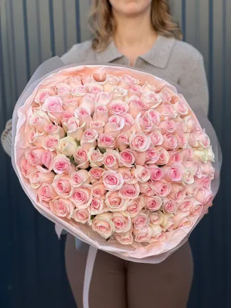 101 очаровательная роза Кения