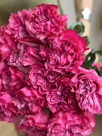 Букет пионовидных роз Кантри Блюз