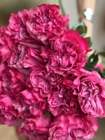 Цветы Букет пионовидных роз Кантри Блюз 4