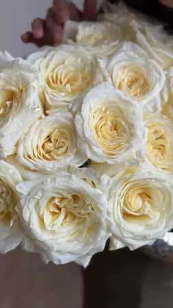 Букет пионовидных роз Канделайт