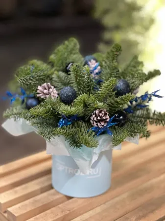 Композиция «Ледяная сказка»