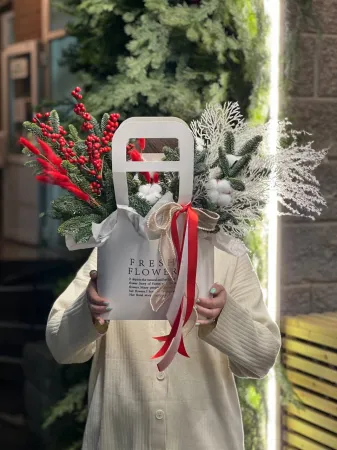 Композиция «Мороз и звезды»