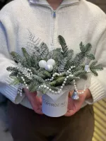 Цветы Зимняя мини - композиция 0