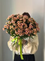 Цветы Букет из хризантем Сантини 0