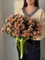 Цветы Букет из хризантем Сантини 1