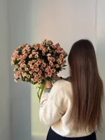 Цветы Букет из хризантем Сантини 2