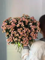 Цветы Букет из хризантем Сантини 3