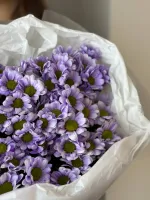 Цветы Букет из хризантем Сантини №3 4