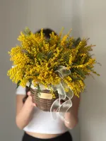 Цветы Композиция «Мимозный рай» 0