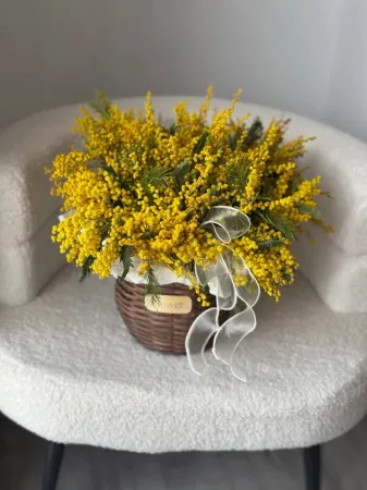 Композиция «Мимозный рай»