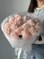 Цветы Букет воздушных диантусов 2